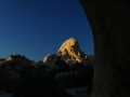 posebno lepi Joshua Tree